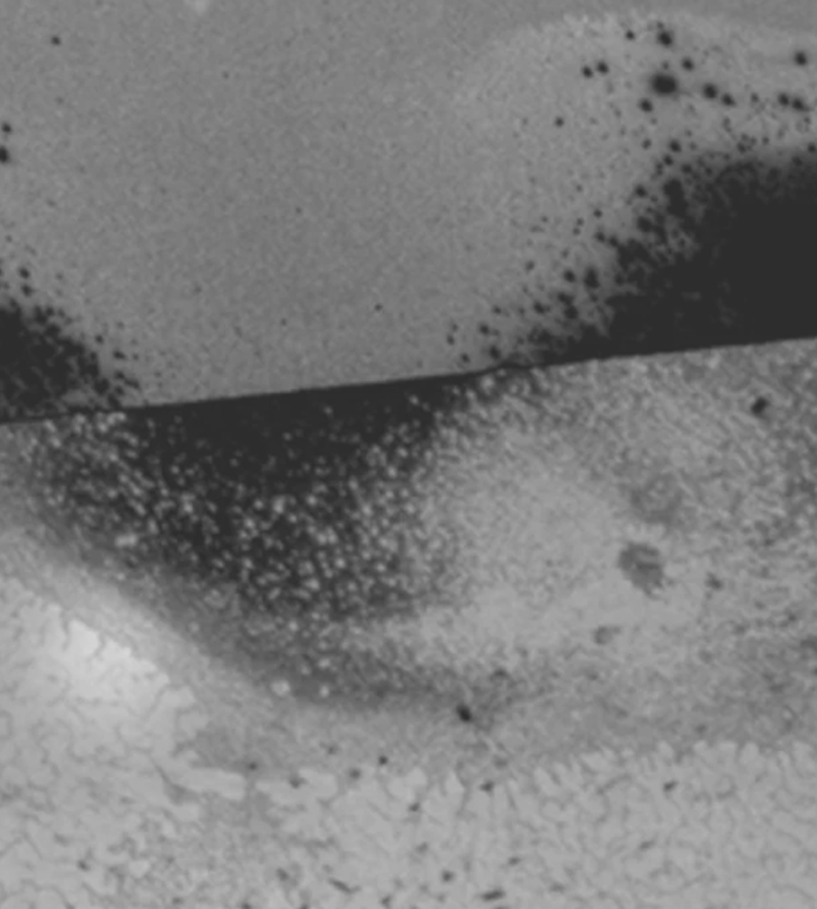 Ferragus Eau de Parfum - 60ml