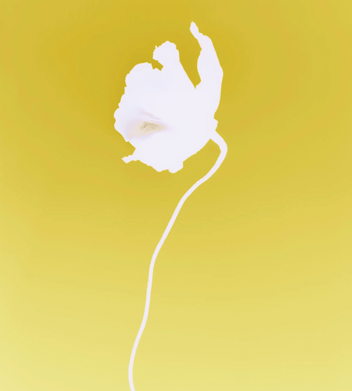 PIEL Eau de Parfum - 60ml