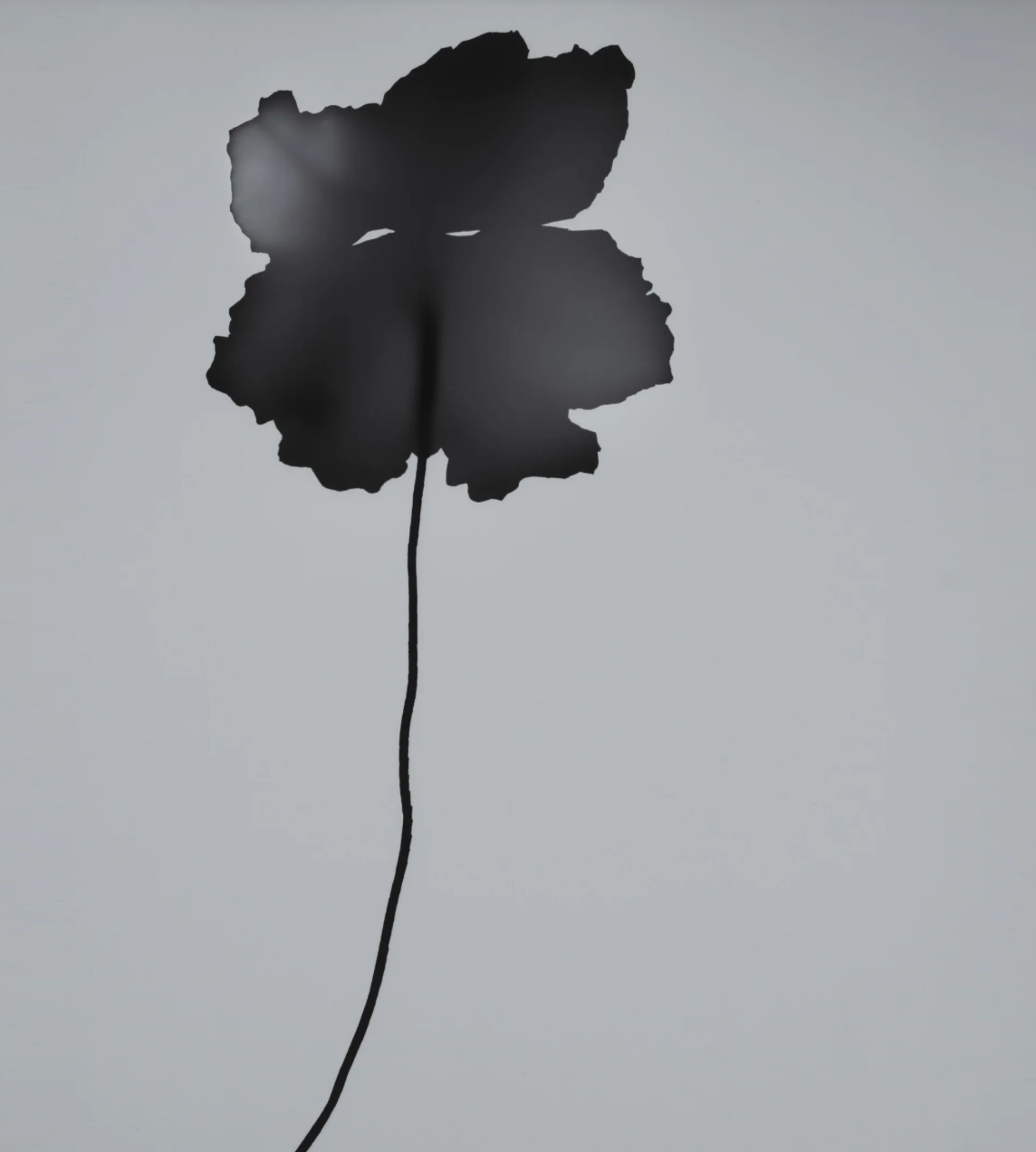 KŌSAI Eau de Parfum - 60 ml