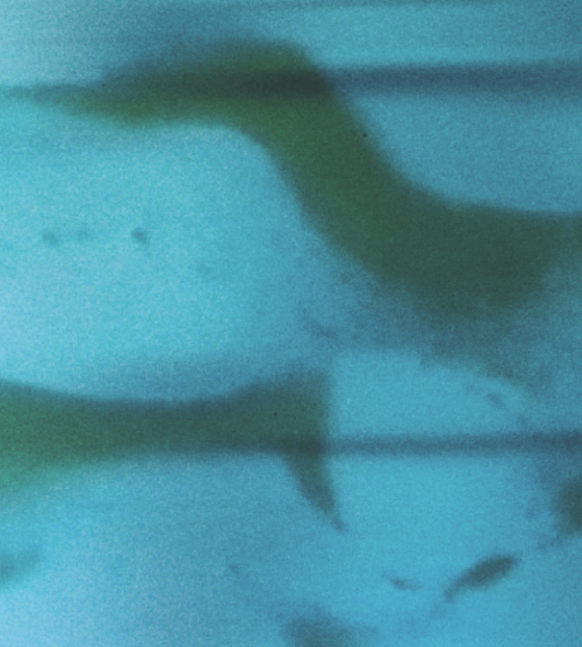 Manta Eau de Parfum - 60ml