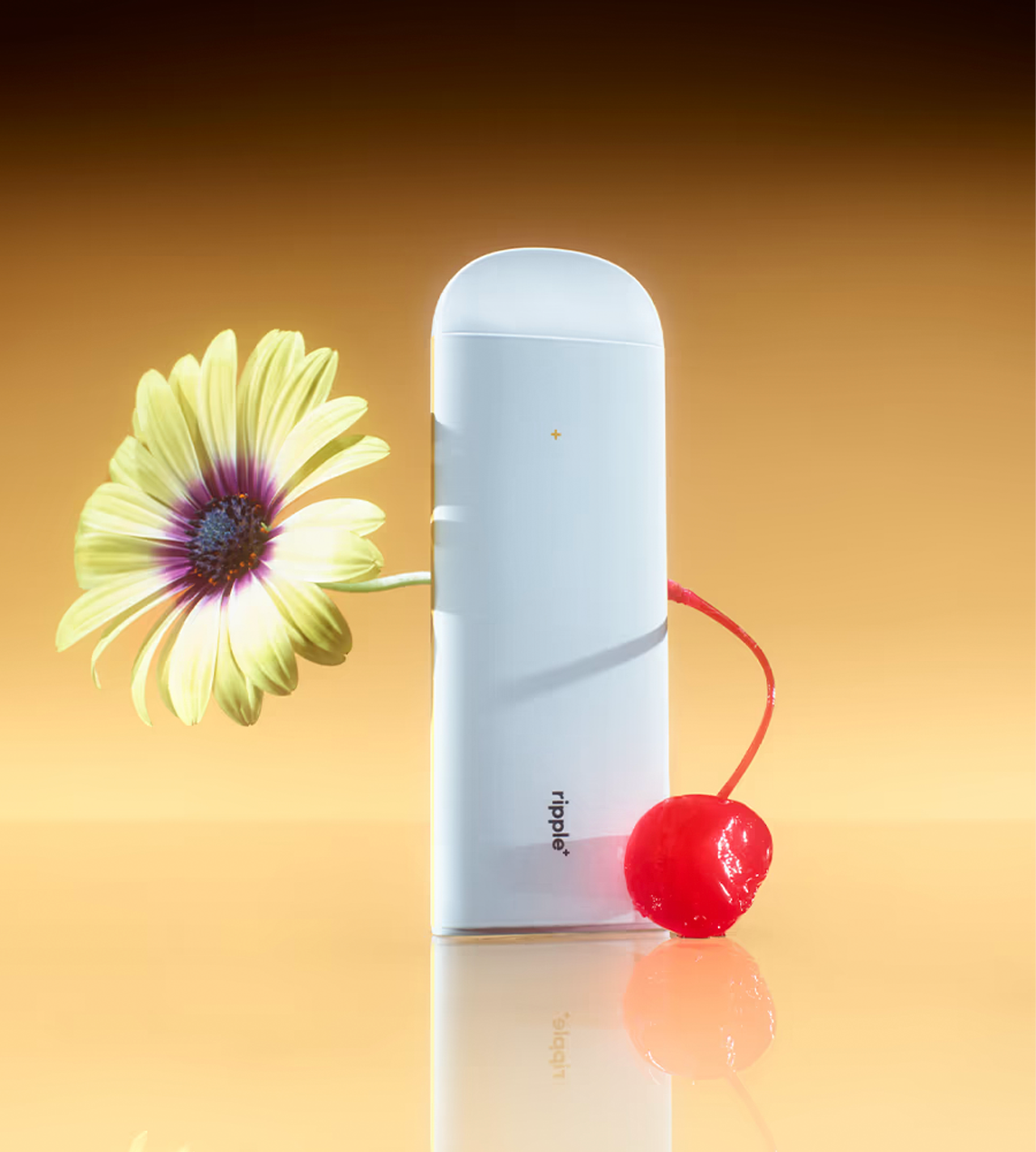 Plant-Powered puffs Happy/Passion Fruit