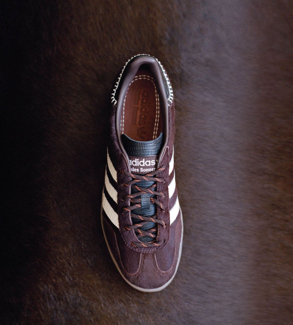 Wales Bonner x Adidas Gazelle Pony Brown