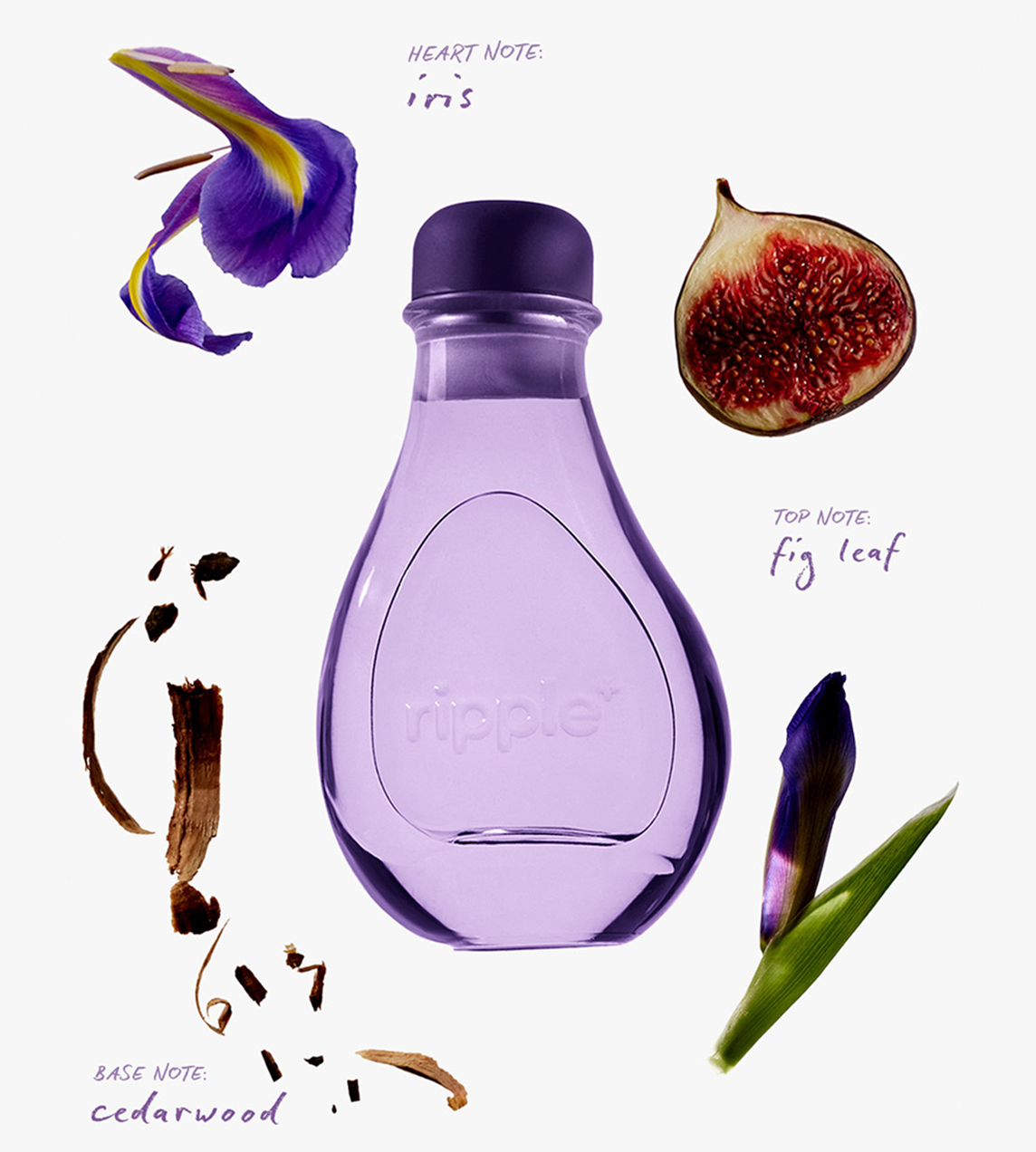 RIPPLE - Portable Aromatherapy Diffuser / Dream