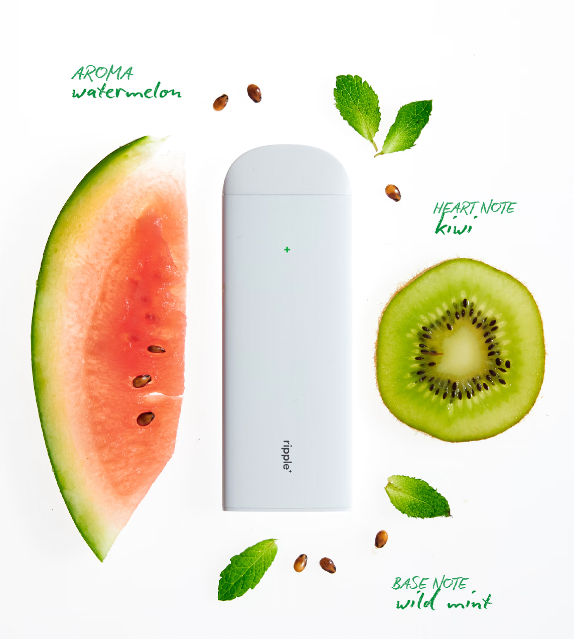 Powered puffs Bliss / Watermelon