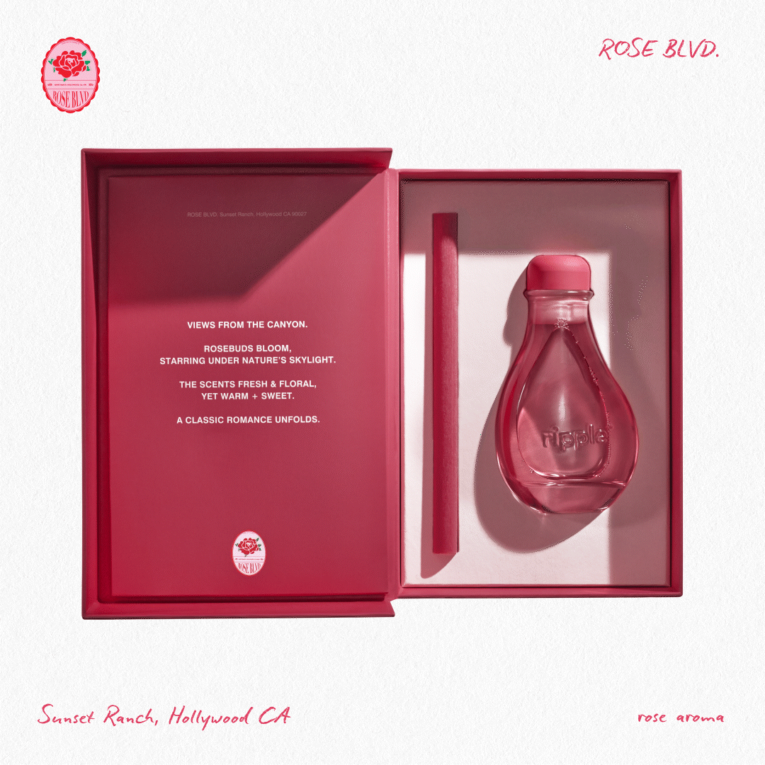 Portable Aromatherapy Diffuser / Boost