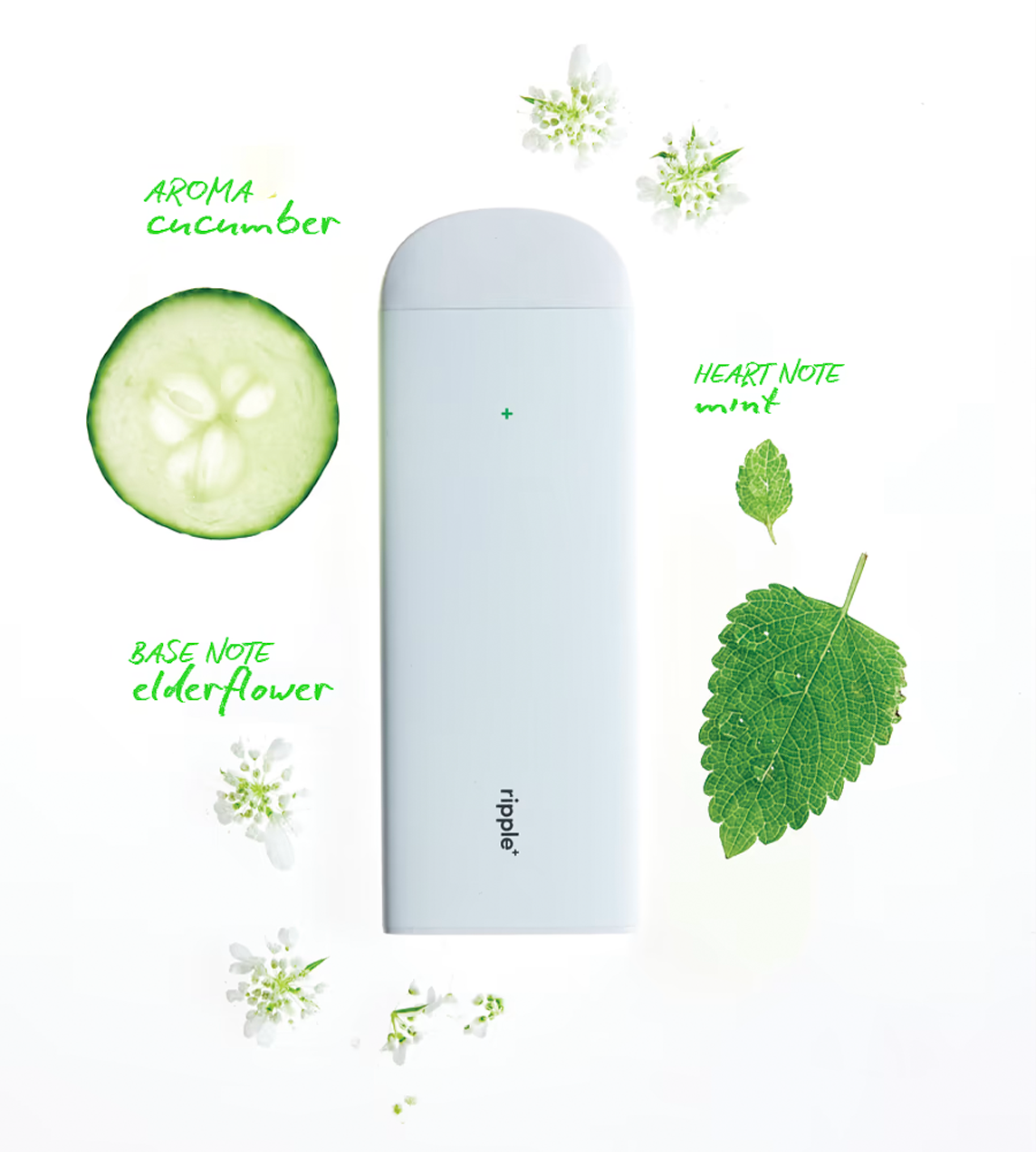 RIPPLE - Plant-Powered puffs Detox/Cucumber