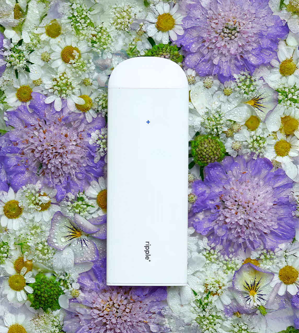 Plant-Powered puffs Relax/Jasmine