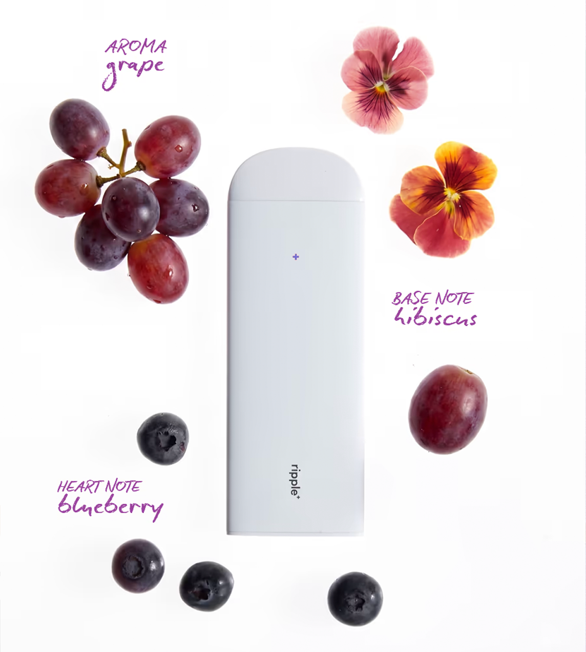 RIPPLE - Plant-Powered puffs Bounce/Grape Aroma