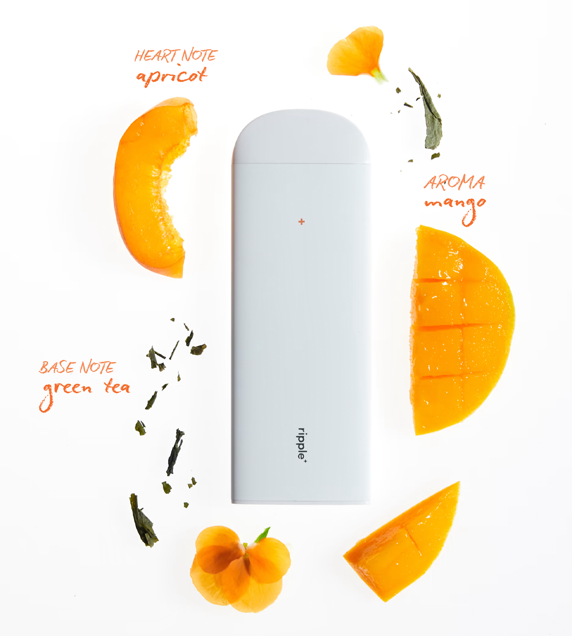 Plant-Powered puffs Focus/Mango