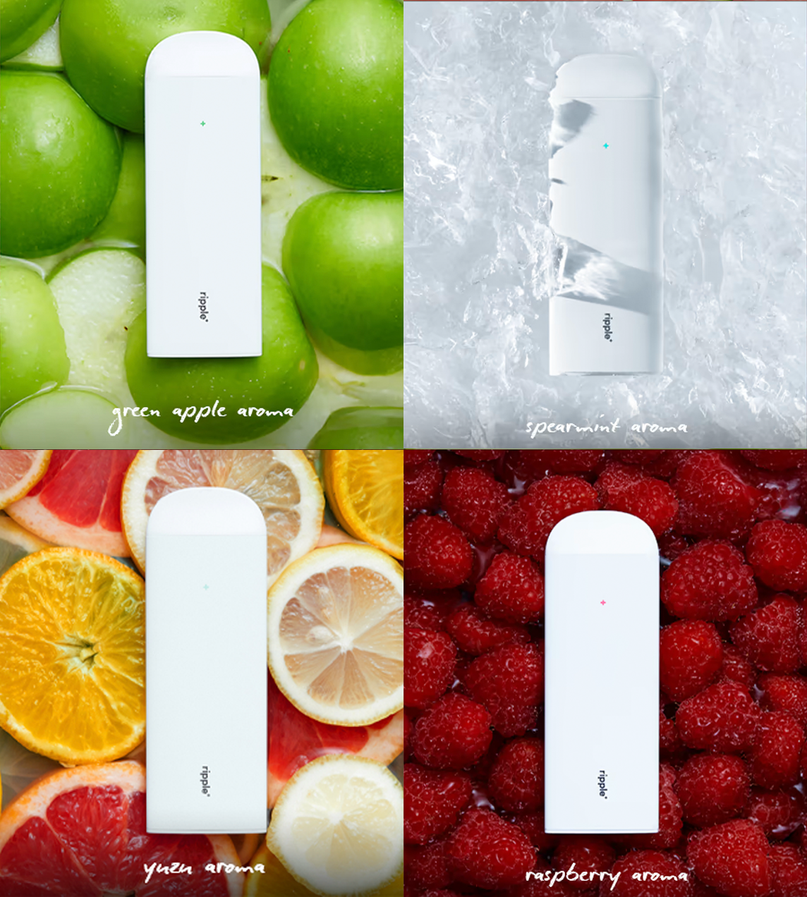 Plant-Powered puffs/Seasonal Bundle