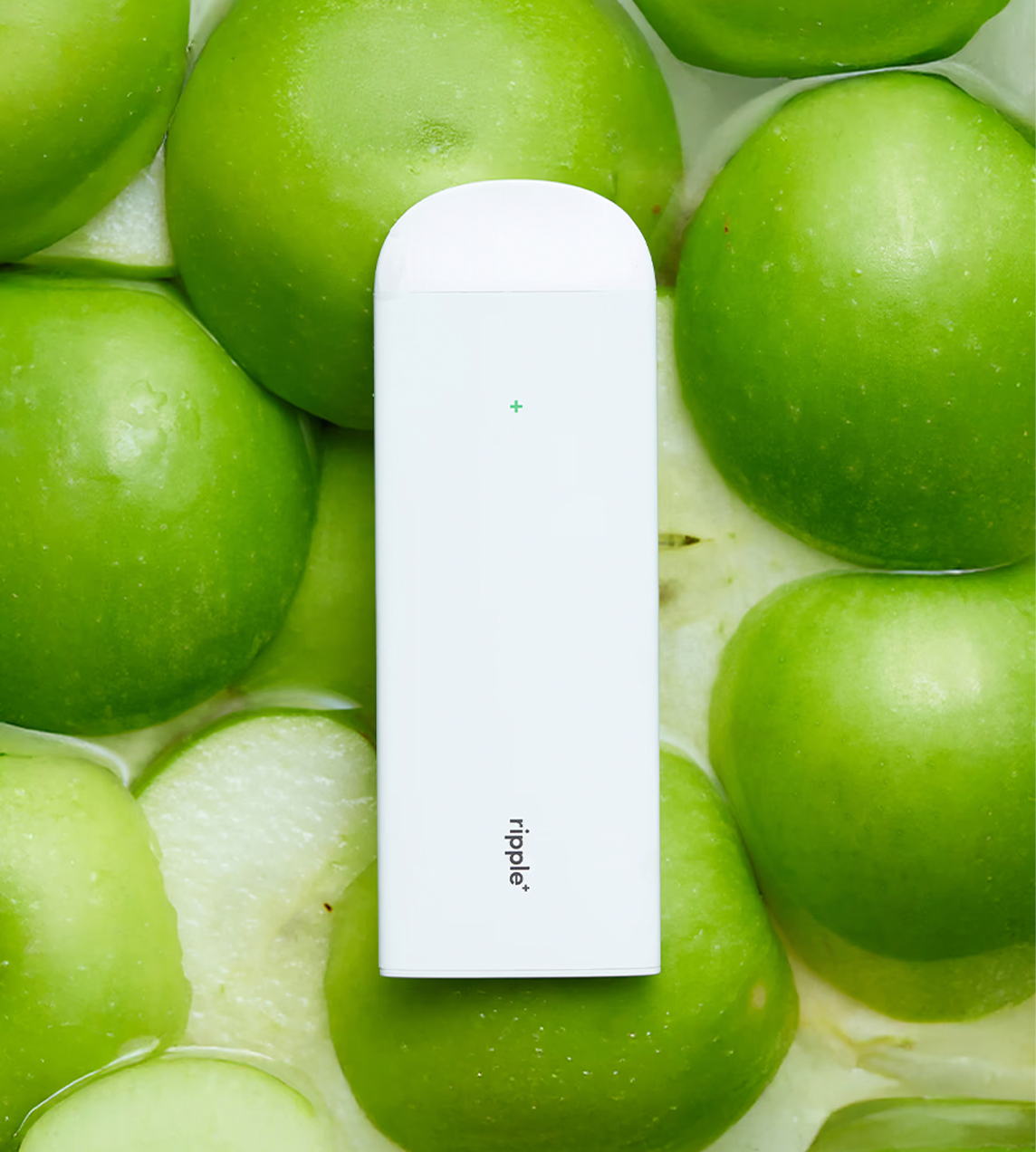 Plant-Powered puffs/Seasonal Bundle