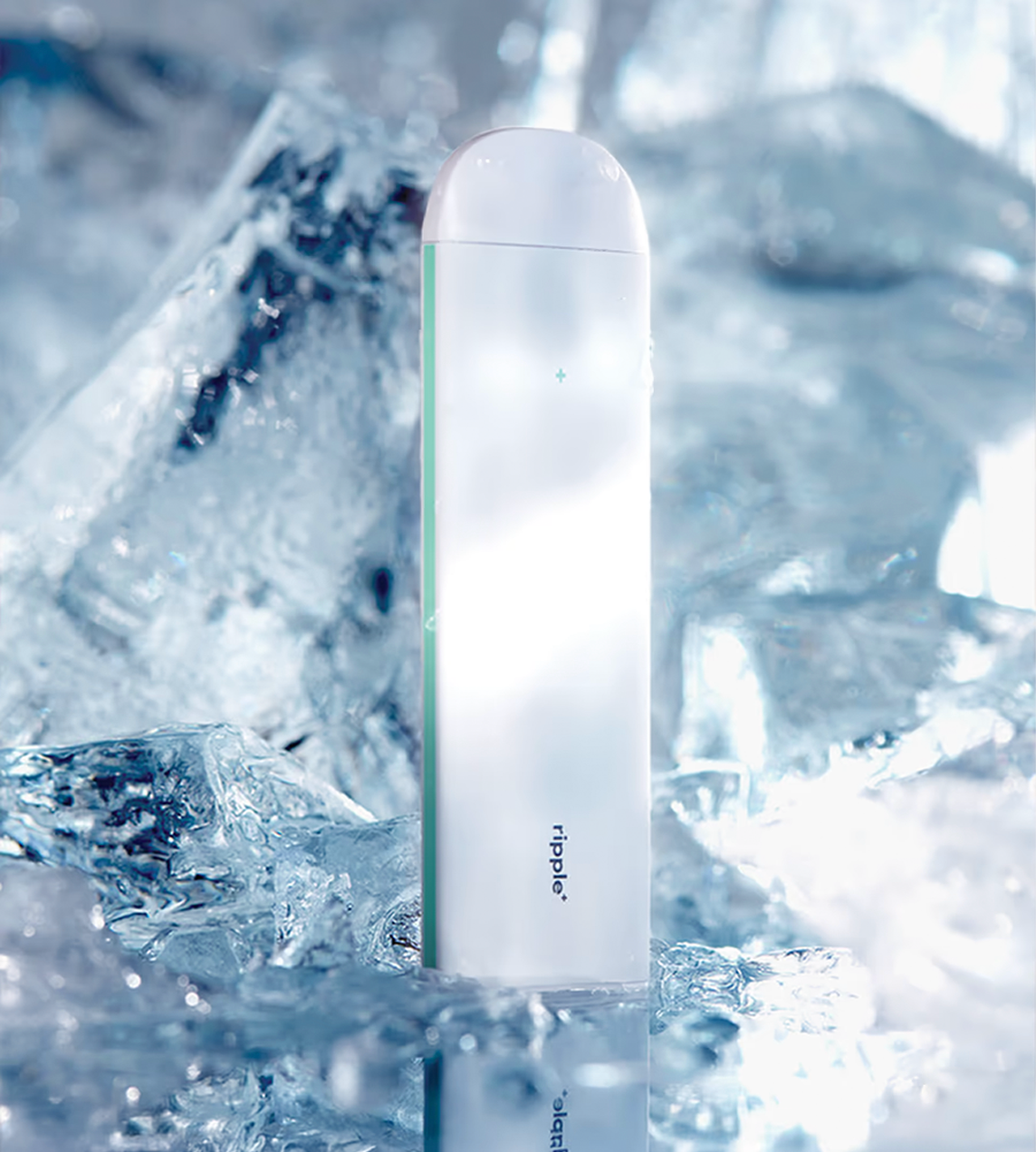 Plant-Powered puffs/Seasonal Bundle