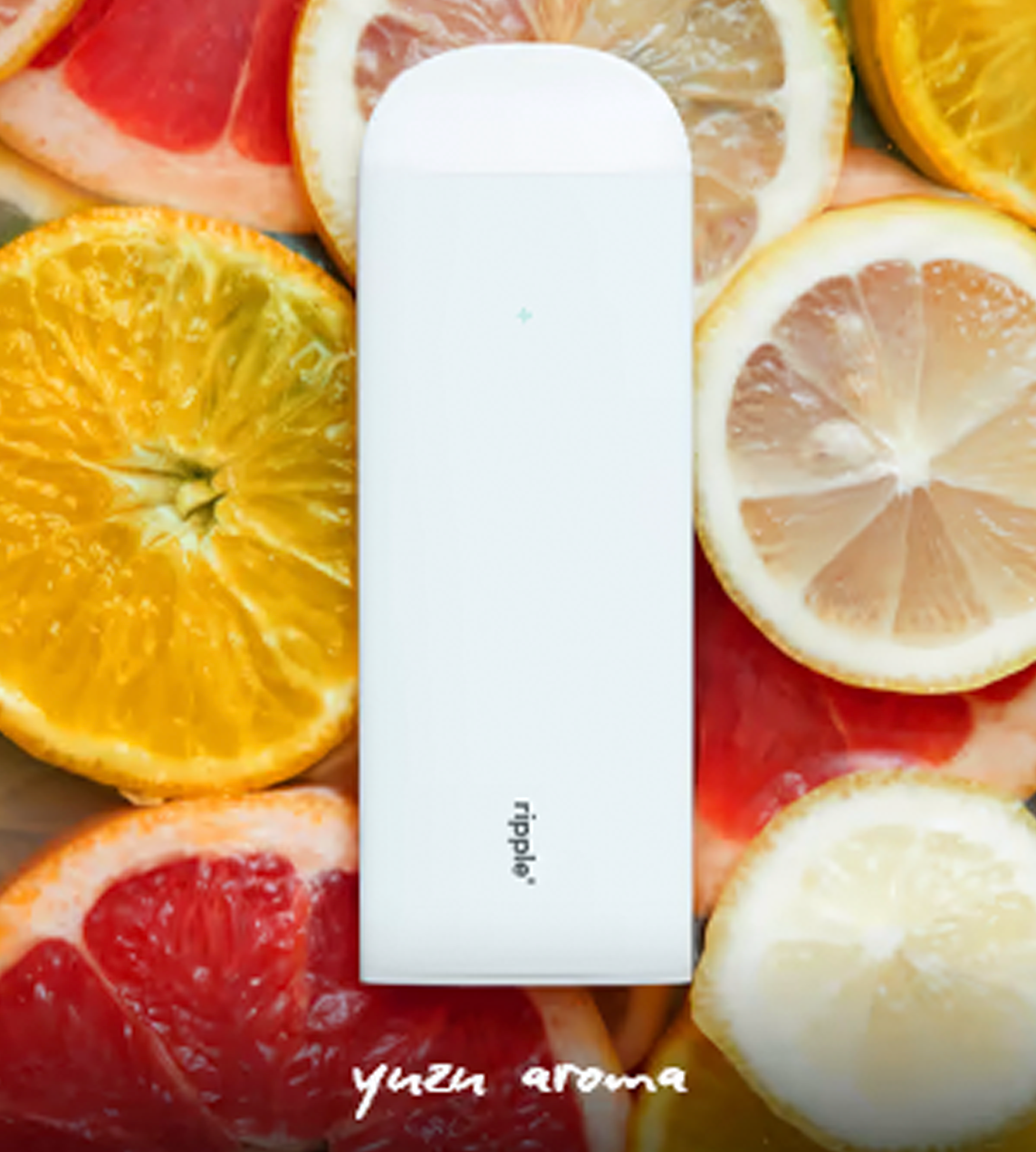 Plant-Powered puffs/Seasonal Bundle