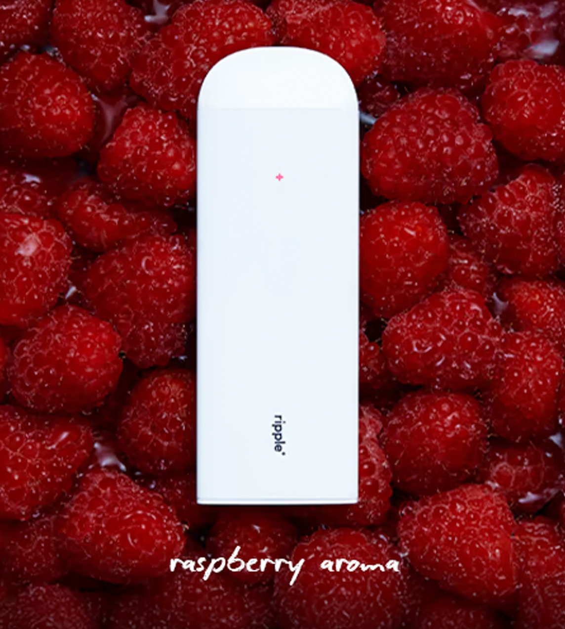 Plant-Powered puffs/Seasonal Bundle