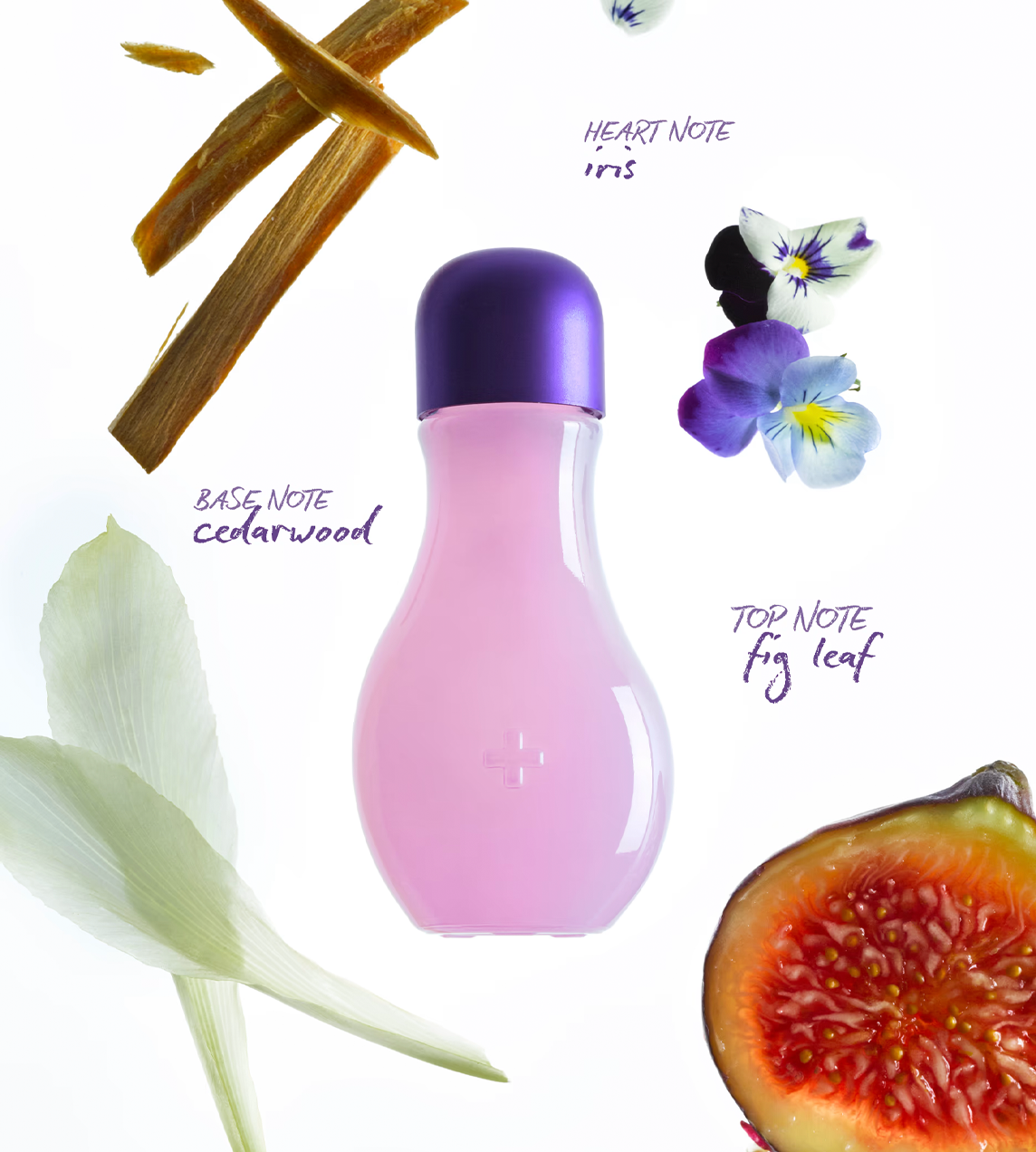 Fragrance Oil Dream/Fig Leaf