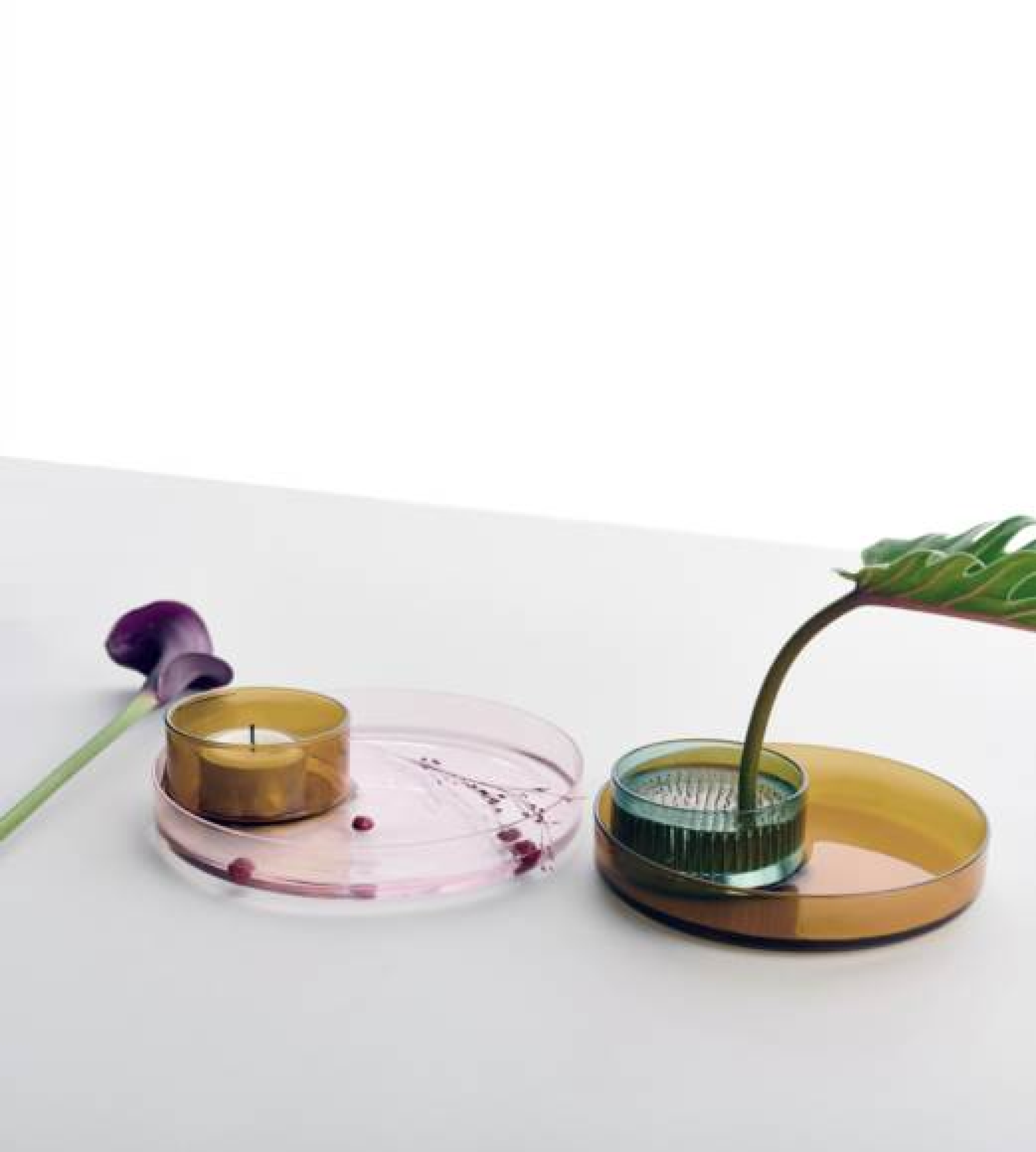 Ichendorf Milano - Kenzan Set Amber/Pink Tray 