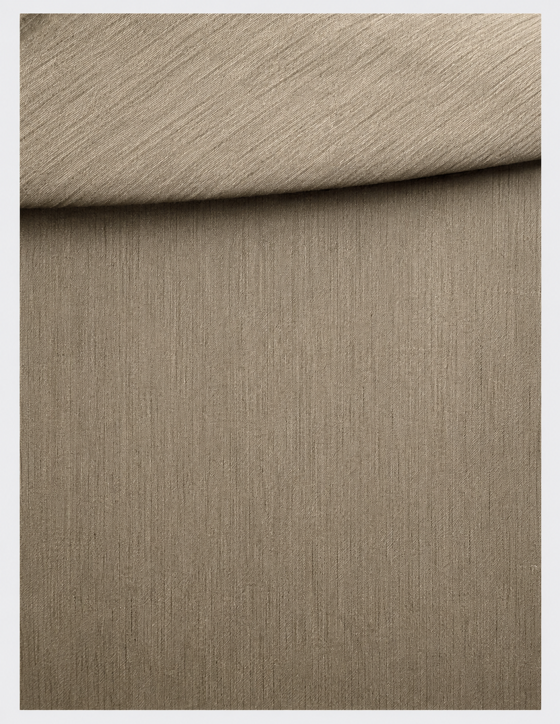 Mergui Coat Willow